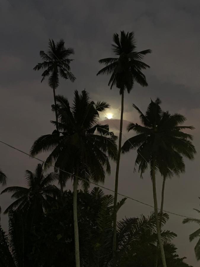 Sabaya Balik Pulau